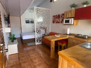 New! Lovely Apartment, Downtown, HSI-Wifi, Parking